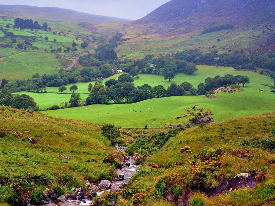 Gleninchaquin Park, Ireland