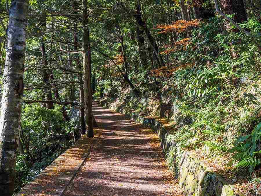 Mount Takao, Japan